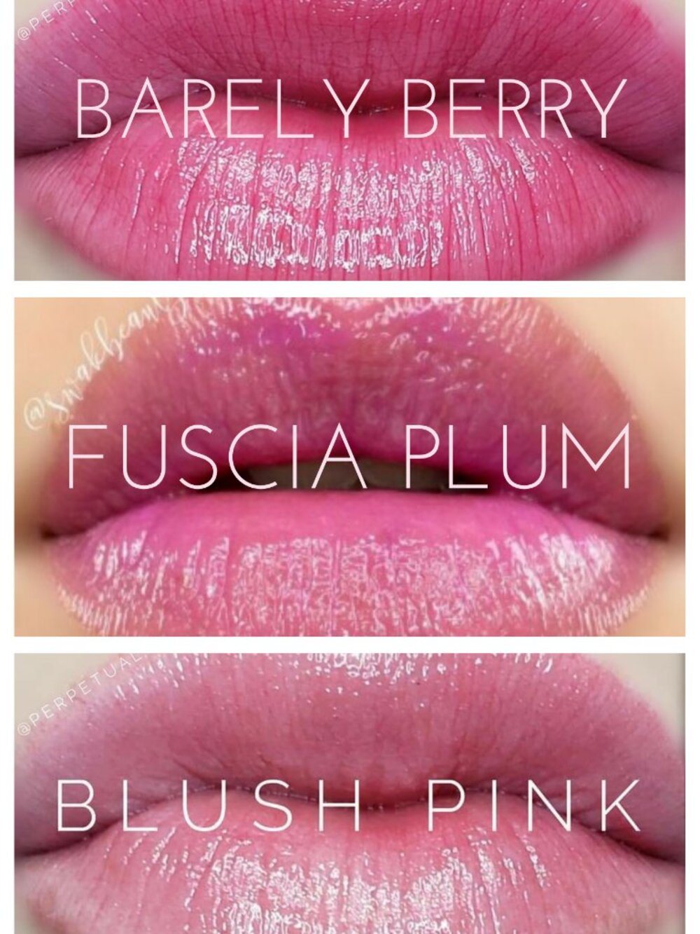 SeneGence Tinted Lip Balm